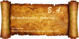 Brandschott Ambrus névjegykártya